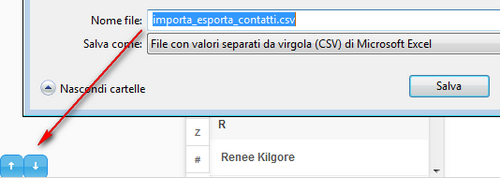 contatti importa ed esporta