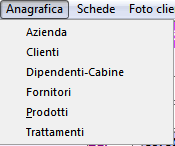 menu anagrafica